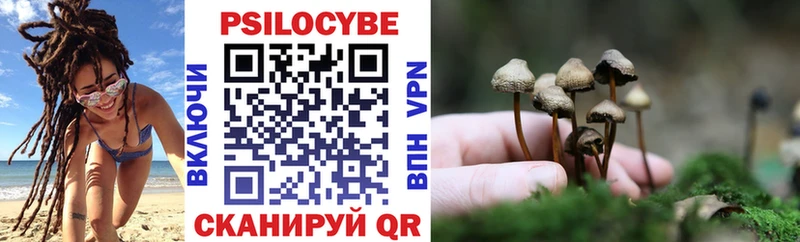 Псилоцибиновые грибы GOLDEN TEACHER Купить Лосино-Петровский