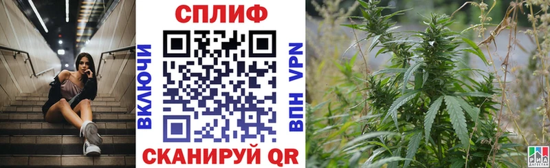Бошки марихуана THC 21%  Купить  Лосино-Петровский 